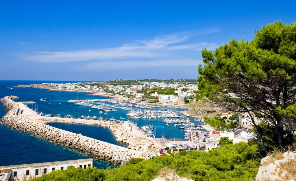 leuca