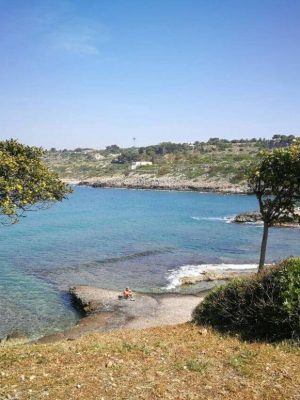 san-gregorio (4)