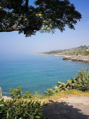 san-gregorio (6)