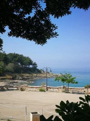 san-gregorio (7)